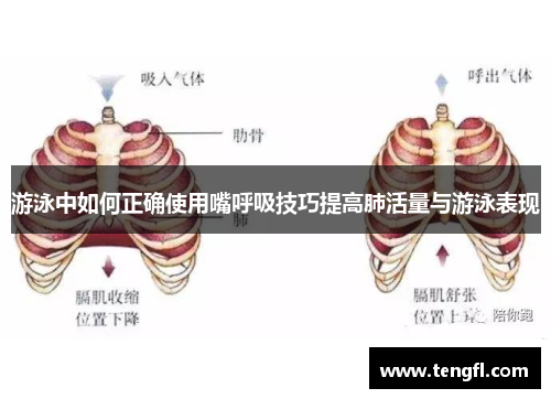 游泳中如何正确使用嘴呼吸技巧提高肺活量与游泳表现